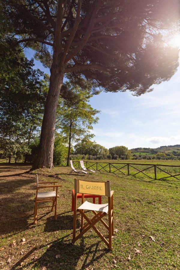 Cottage Il Gabbro Montescudaio Εξωτερικό φωτογραφία