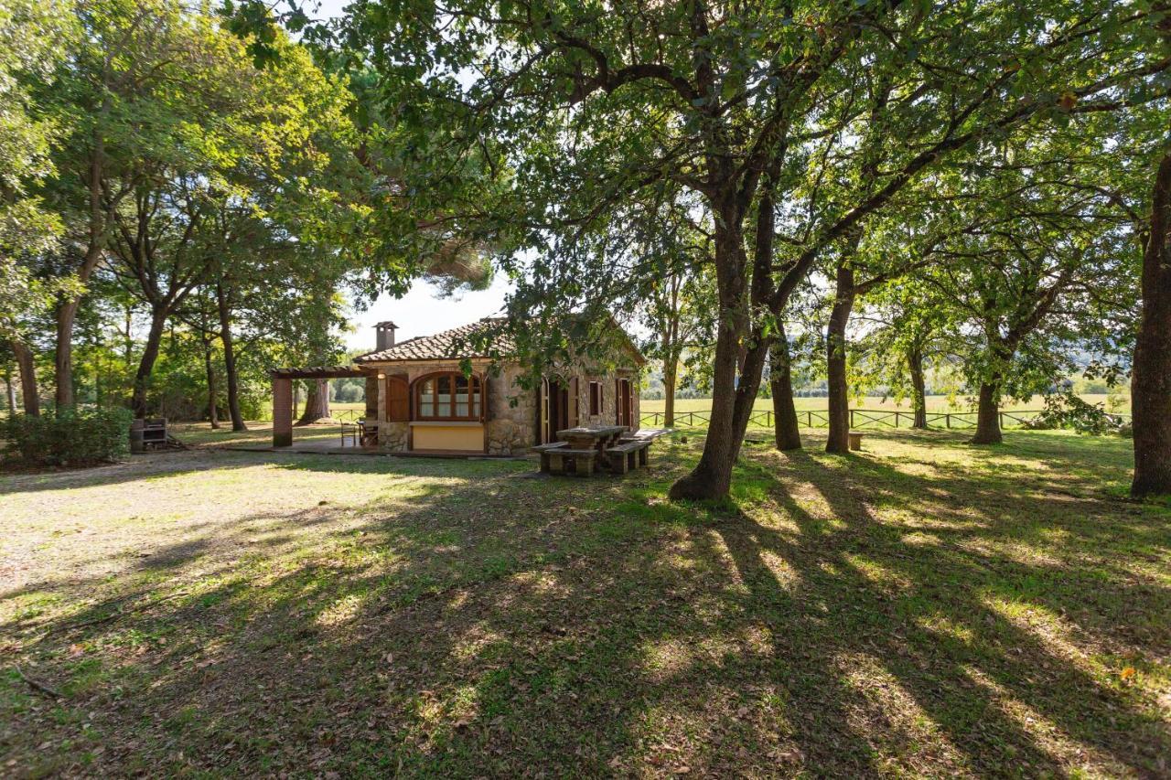 Cottage Il Gabbro Montescudaio Εξωτερικό φωτογραφία